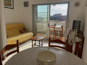 Studio lumineux 3 pers près plage - Loggia, Parking - FR-1-309-488